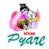 About Shyam Pyare Song